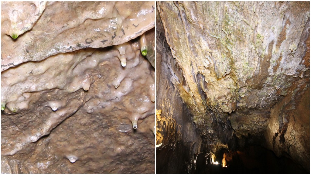 Soda Straw Stalactites